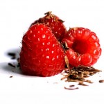 Weight control smoothie recipe- chocolate raspberry