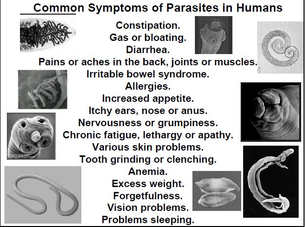 parasites symptoms