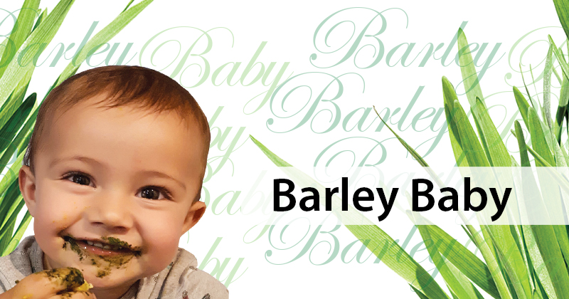 Barley Baby