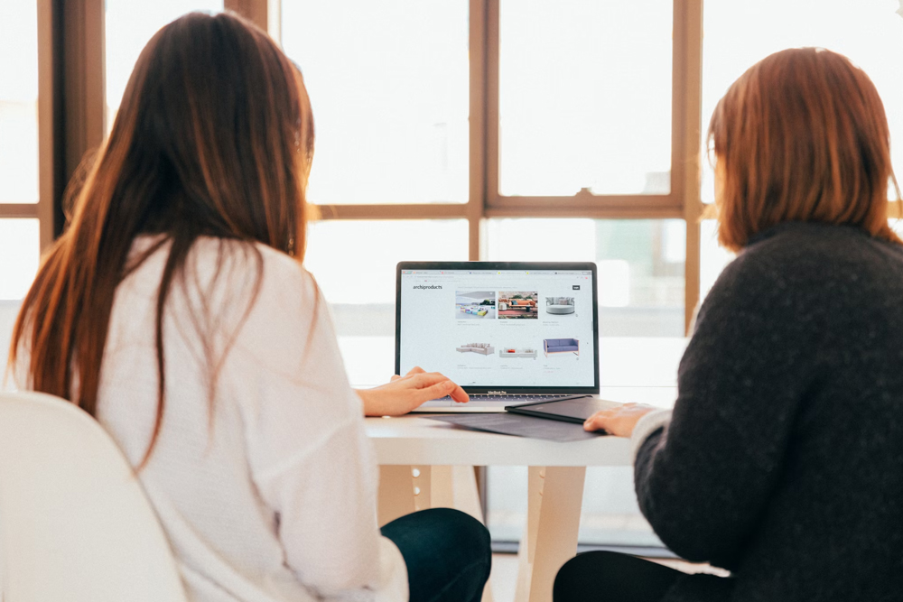 resources Two people sit at a table looking at a laptop screen displaying a website; large windows let in natural light from behind them.